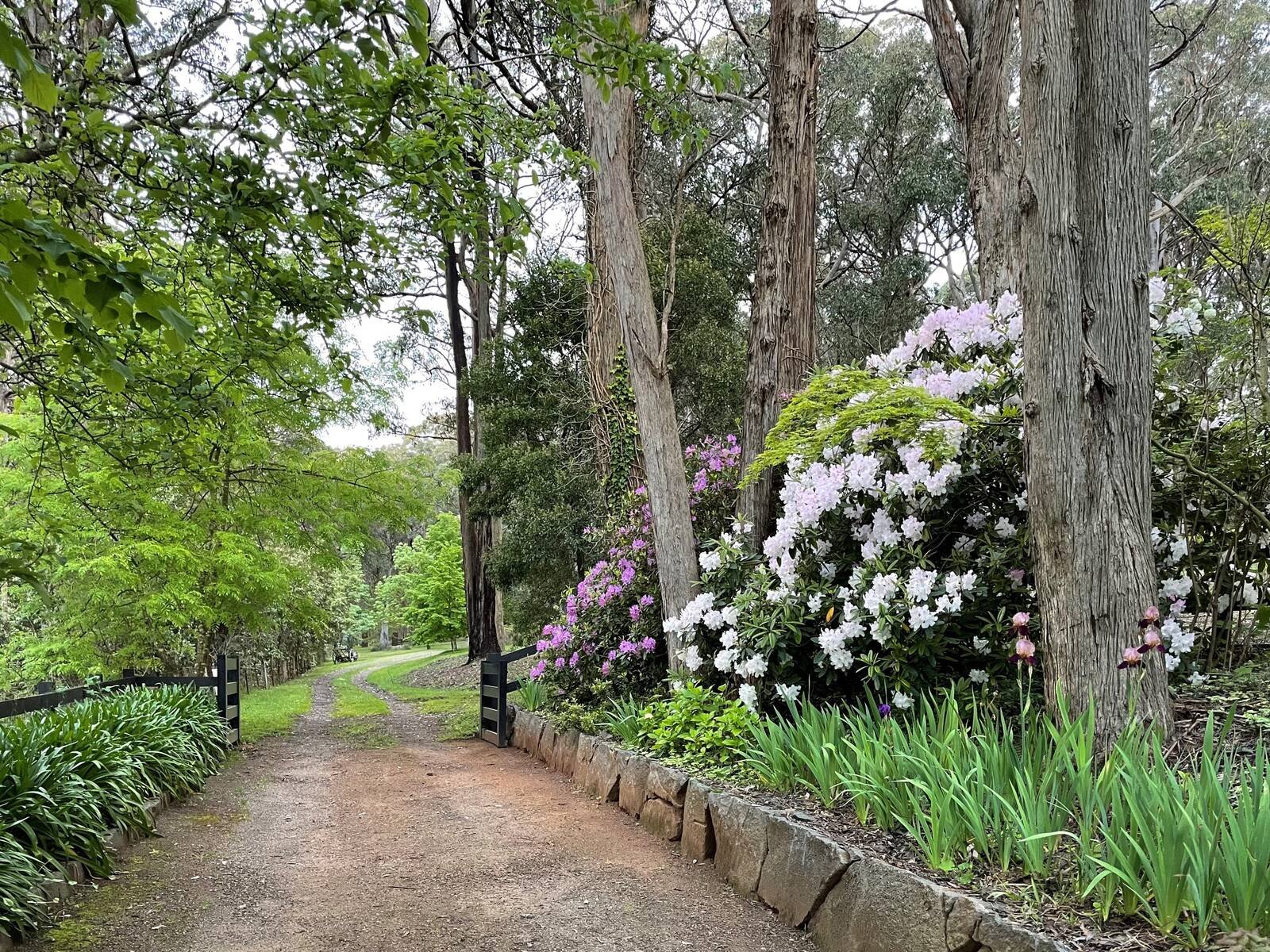 Real Estate and Property in 92 Cherokee Road, Kerrie, VIC