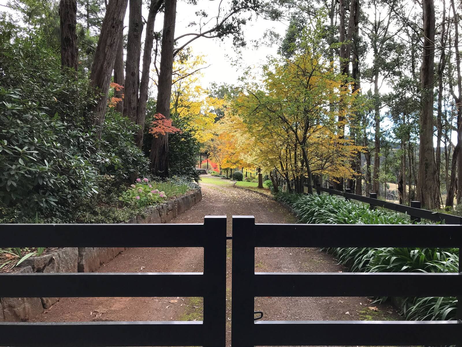 Real Estate and Property in 92 Cherokee Road, Kerrie, VIC