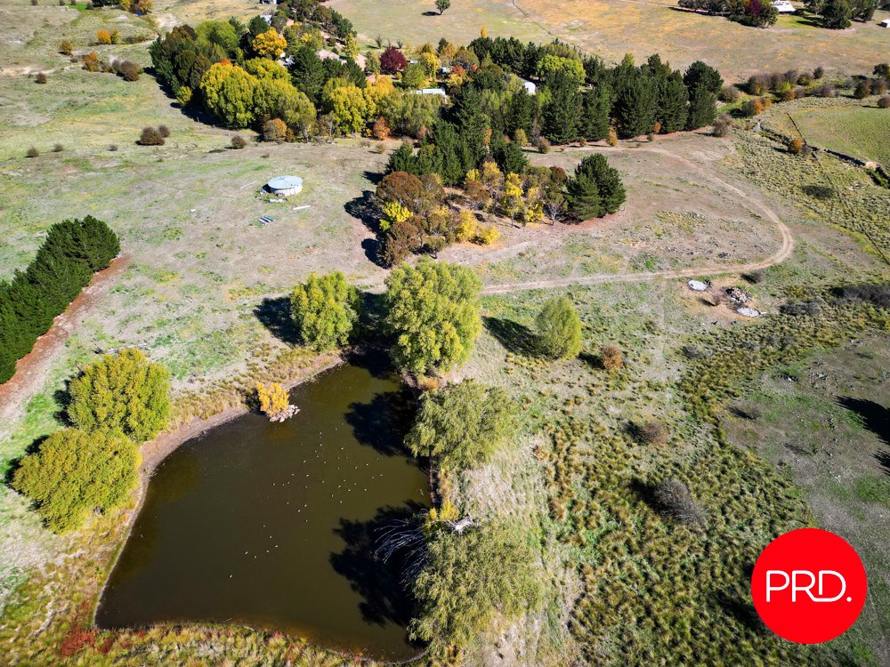 92 Merino Vale Drive WAMBOIN 31
