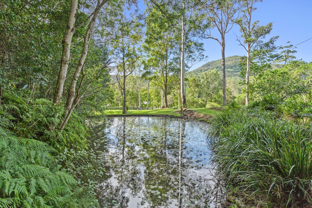 92 Petsch Creek Road Tallebudgera Valley 20