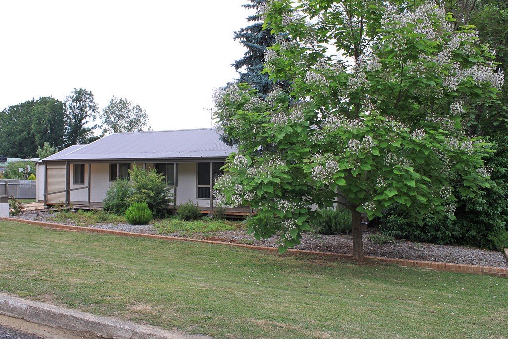 92 The Parade TUMBARUMBA 1