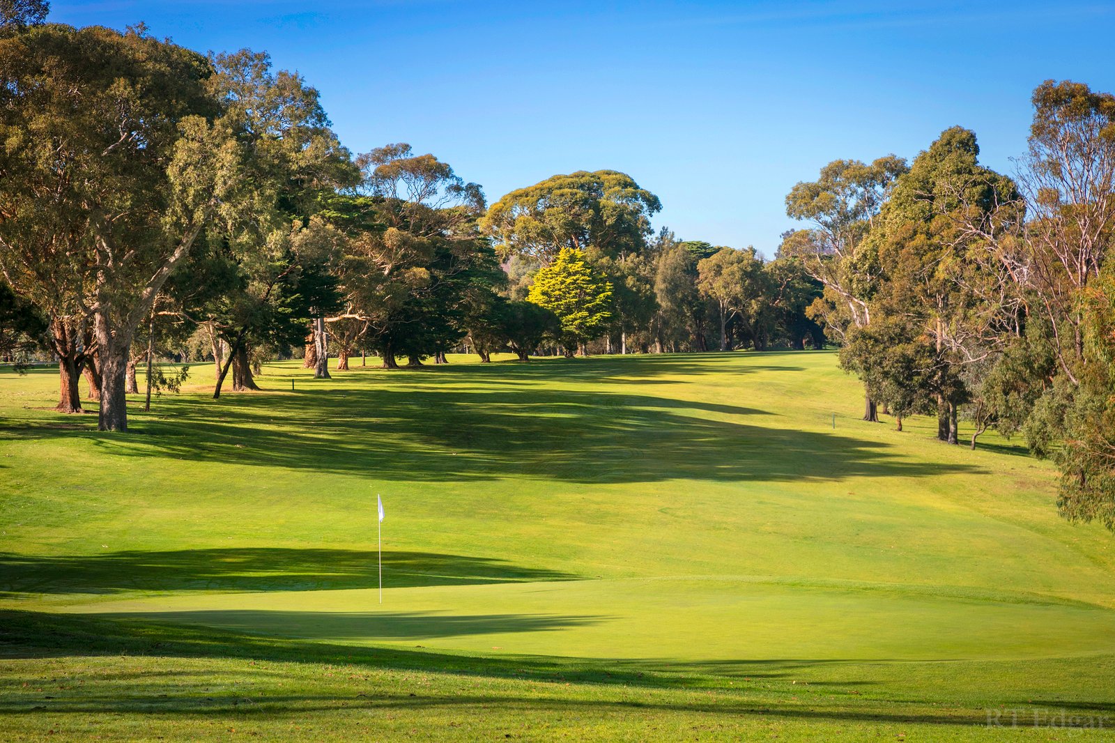 Real Estate and Property in 92 Wills Street, Kew, VIC