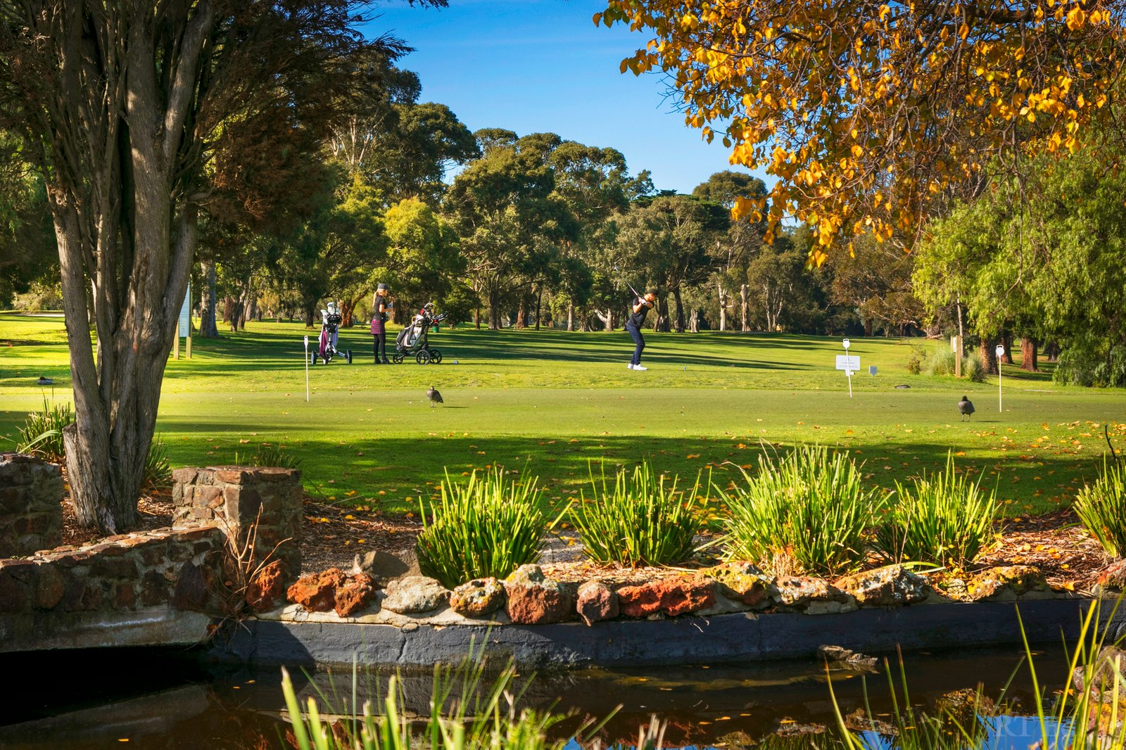 Real Estate and Property in 92 Wills Street, Kew, VIC