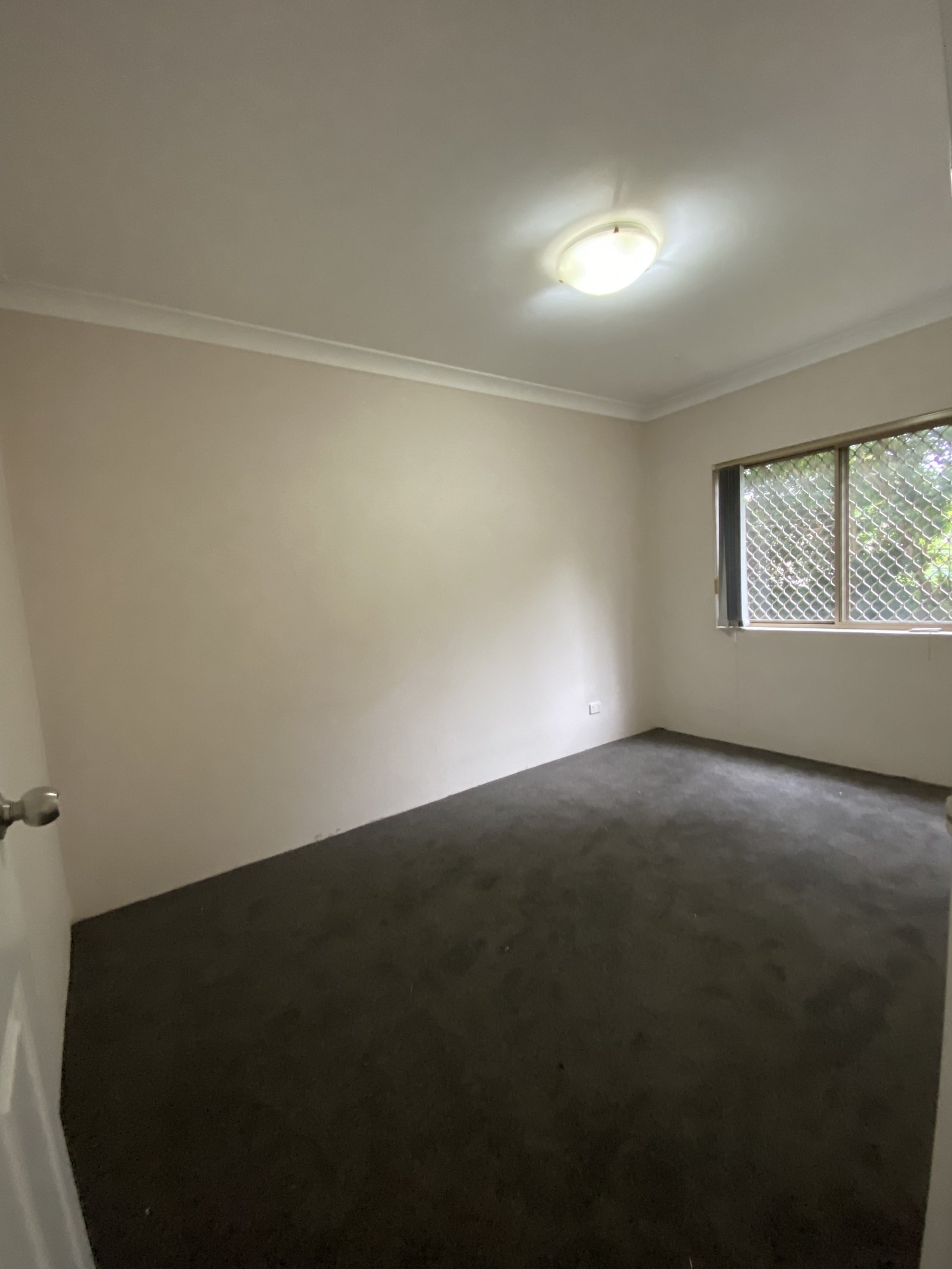 9/20 Graham Road NARWEE 2