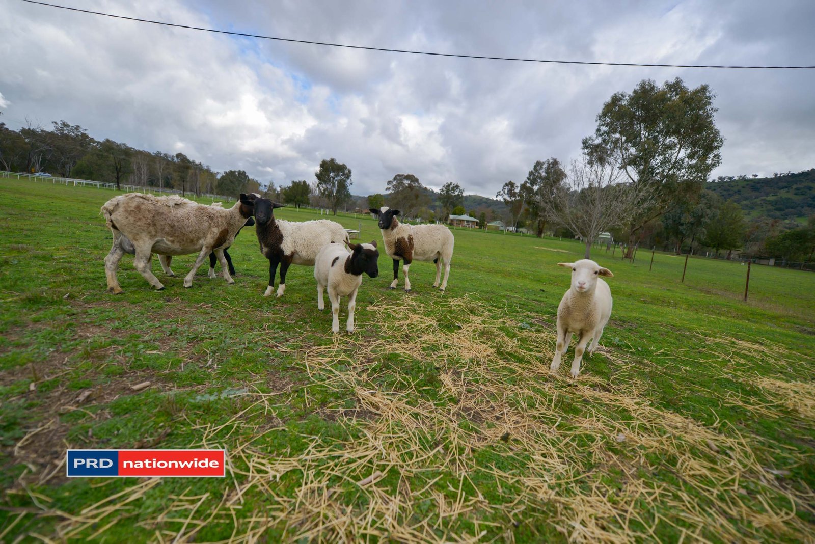 921 Daruka Road TAMWORTH 2