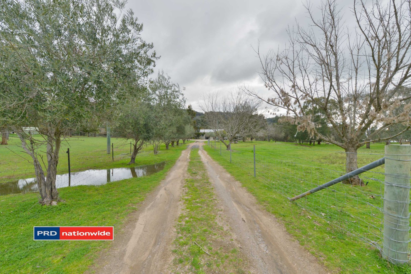 921 Daruka Road TAMWORTH 21