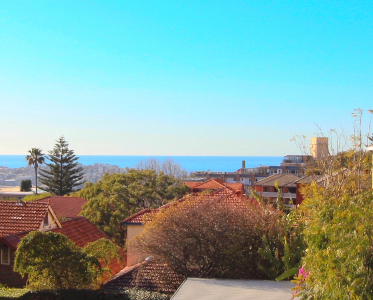 9/24-26 Imperial Avenue BONDI 5