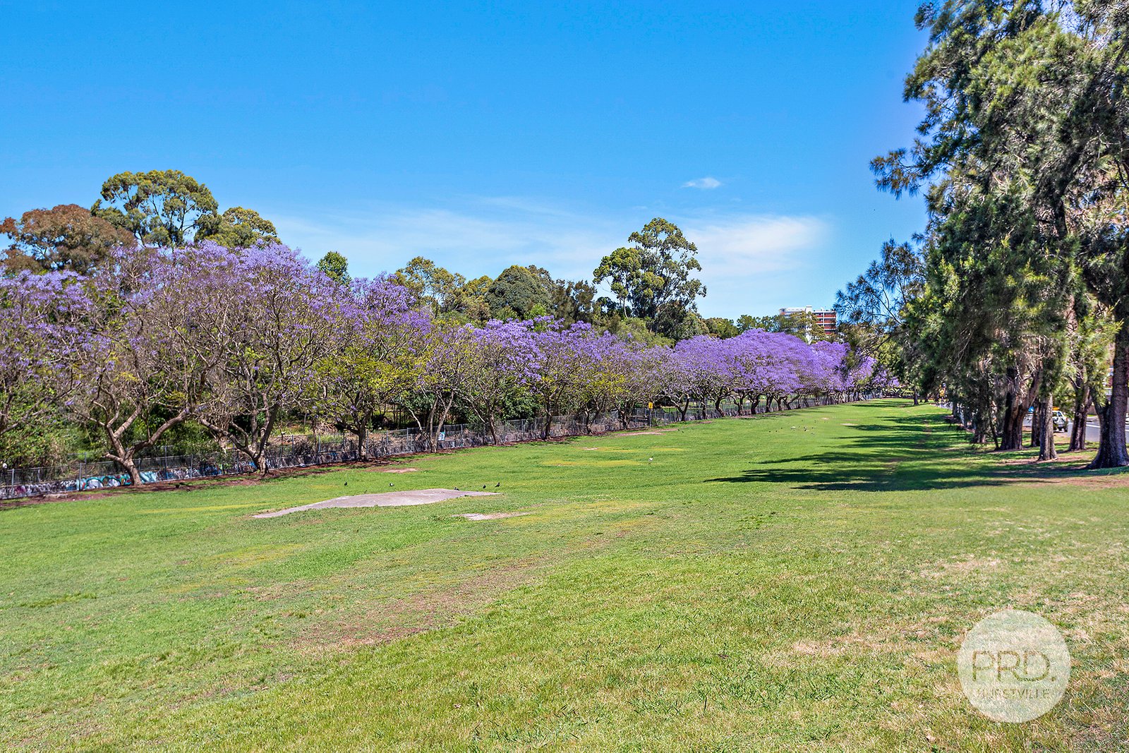 9/24 Warialda Street KOGARAH 8