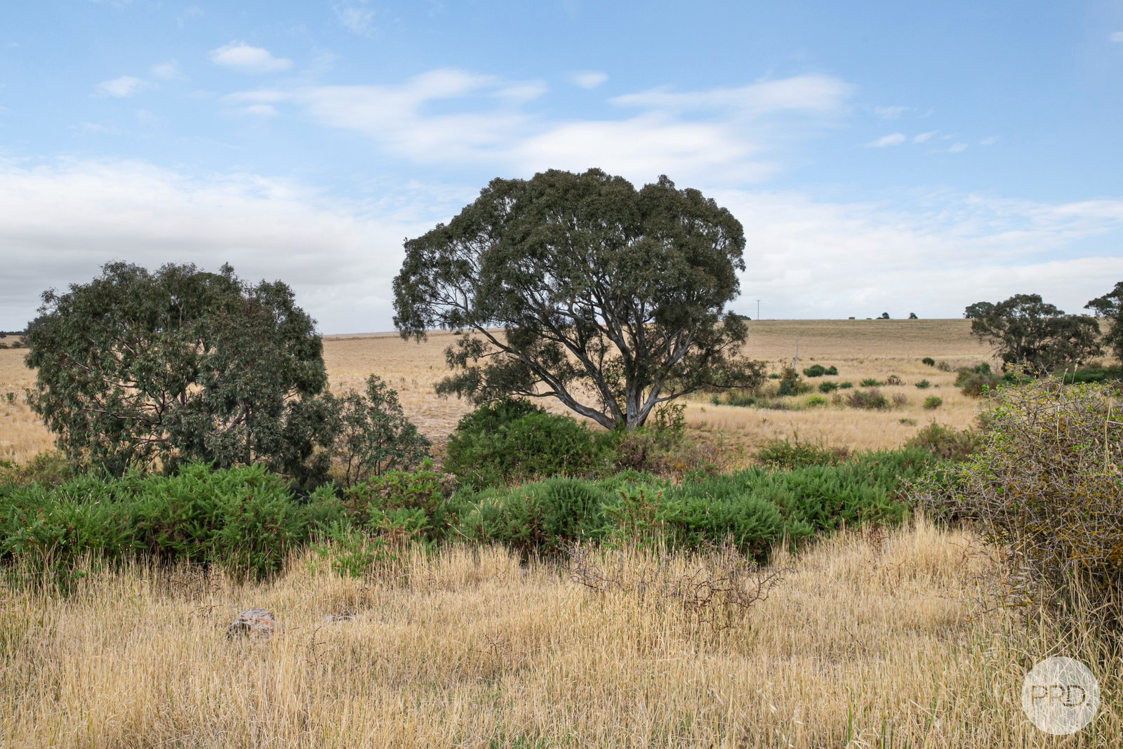 925 Cape Clear-Rokewood Road ILLABAROOK 12