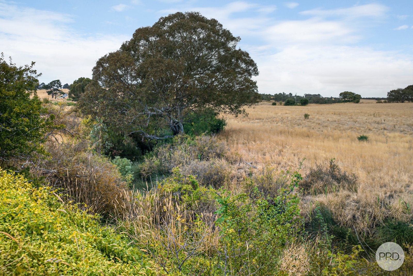 925 Cape Clear-Rokewood Road ILLABAROOK 13