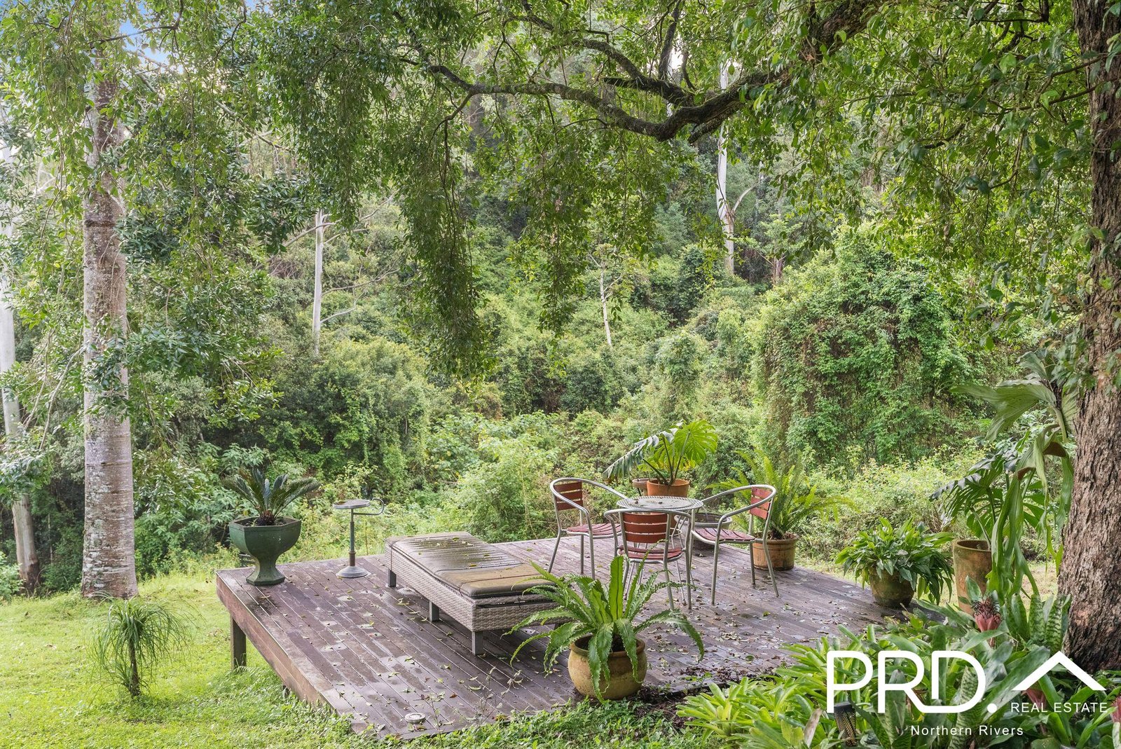 925 Gradys Creek Road GRADYS CREEK 31