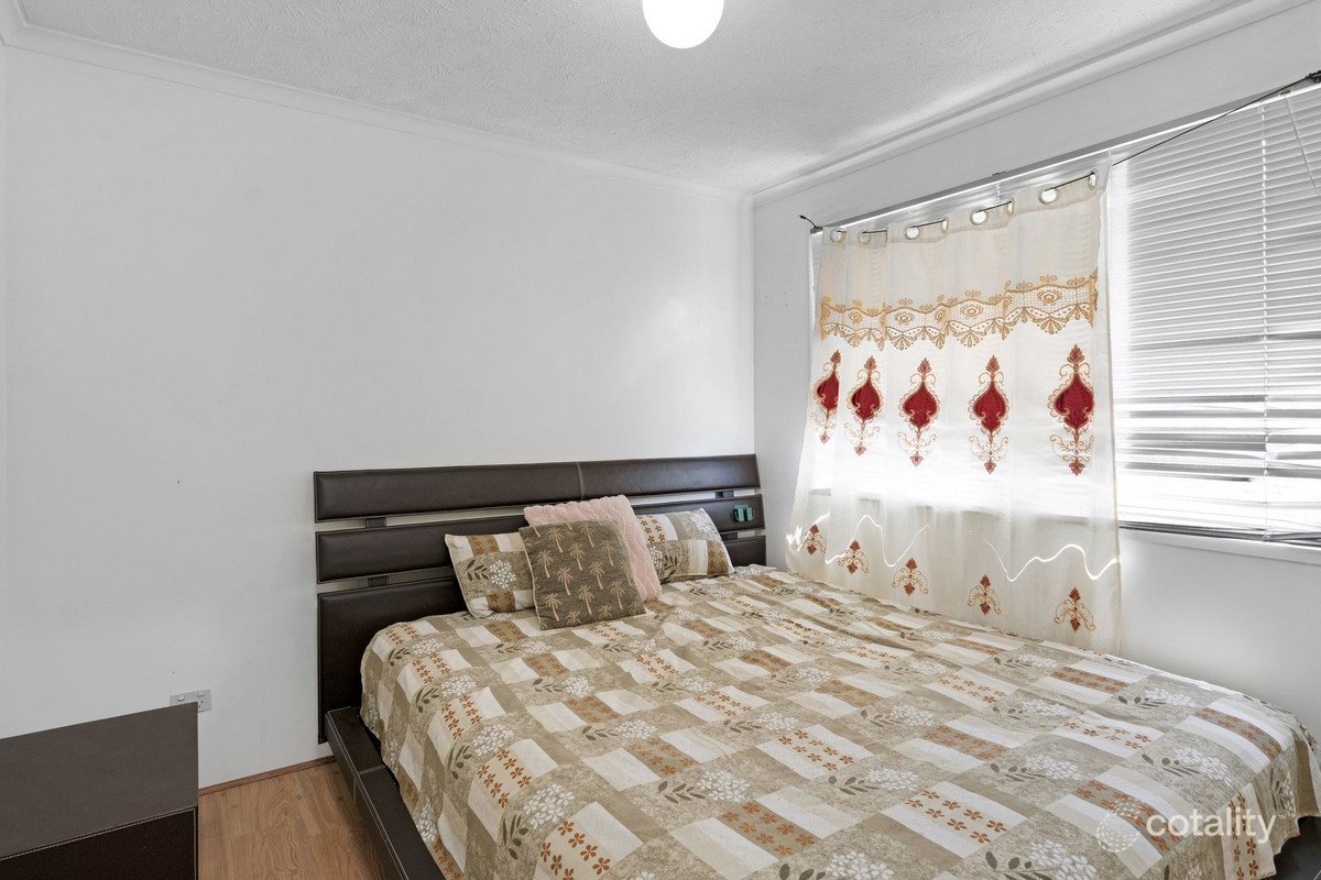 9/28 Hunter Avenue Labrador 4
