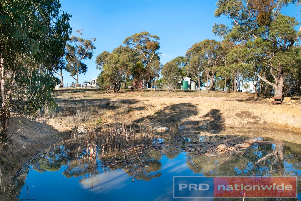 93 Cellante Road BERRINGA 13