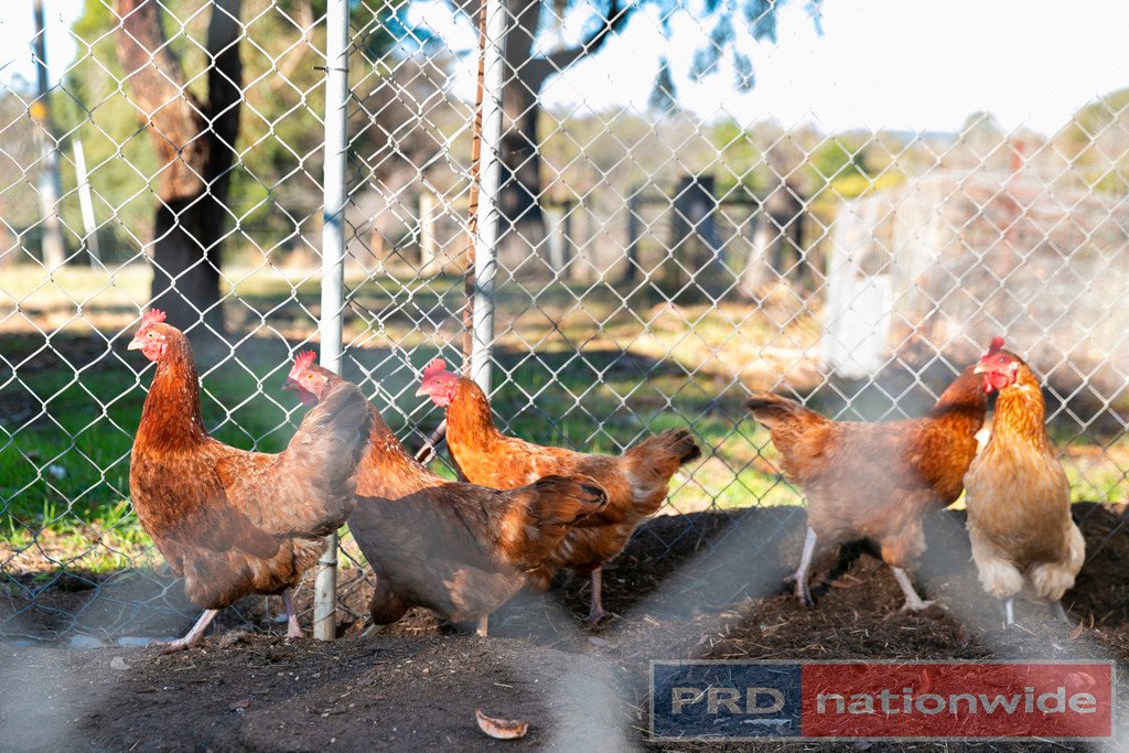 93 Cellante Road BERRINGA 15