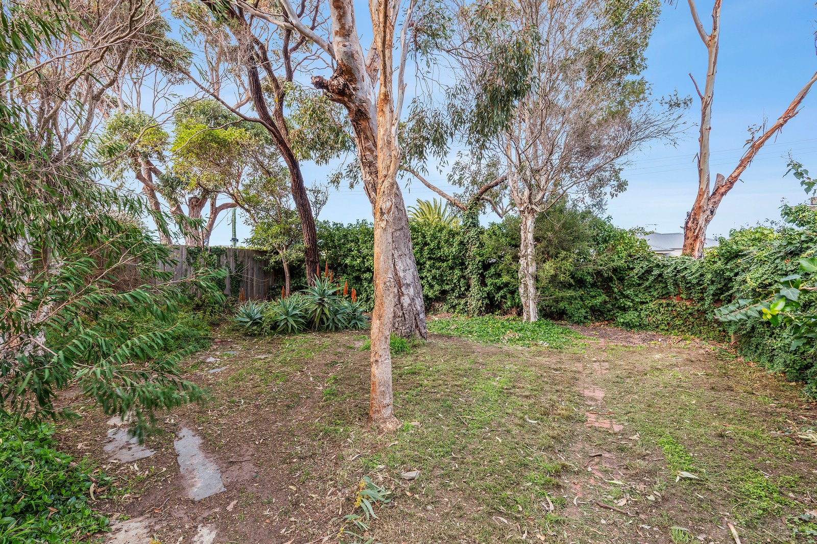 Real Estate and Property in 93 Draper Street, Ocean Grove, VIC