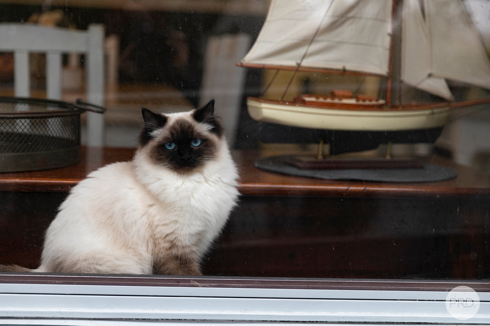 93 Main Street GORDON 12