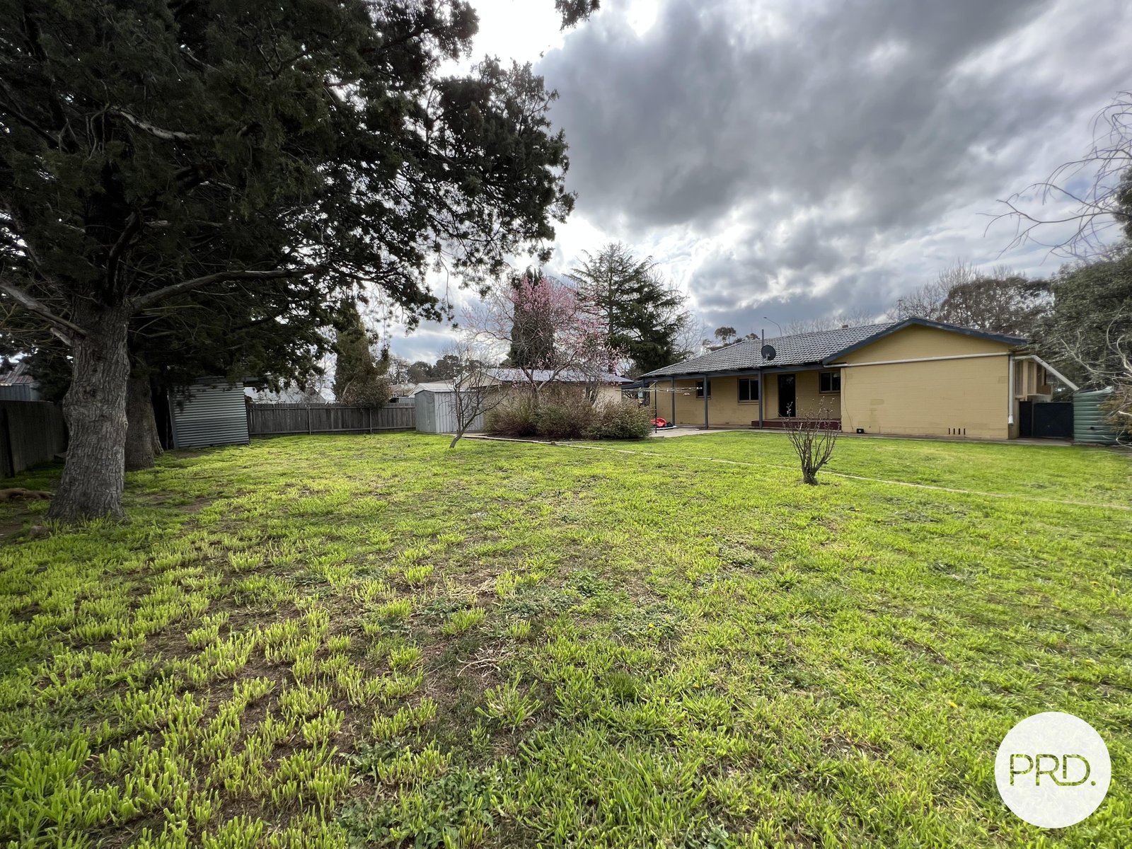 93 Malbon Street BUNGENDORE 12