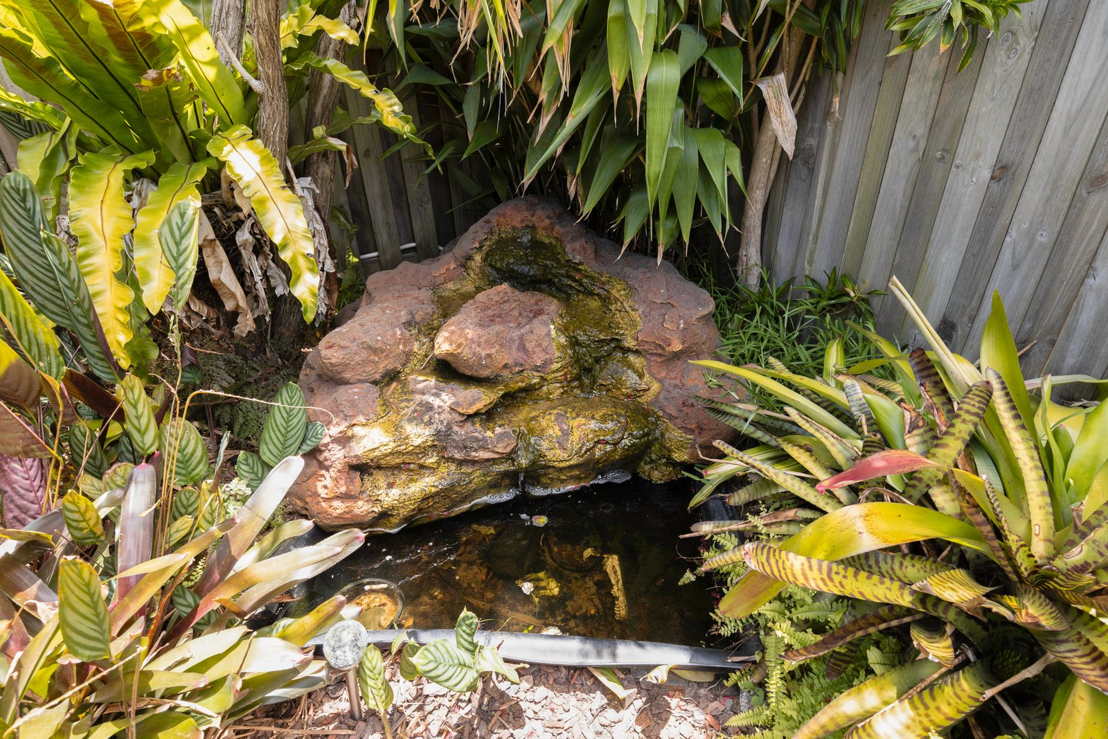 93 Royal Sands Boulevard BUCASIA 12