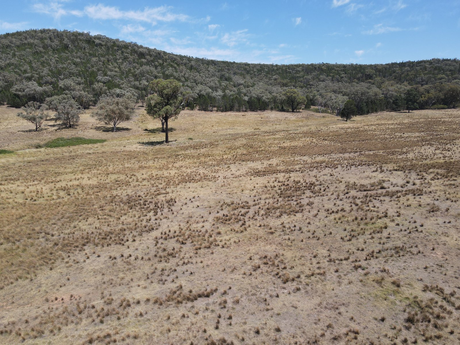 93 Wanera Lane COOKAMIDGERA 8