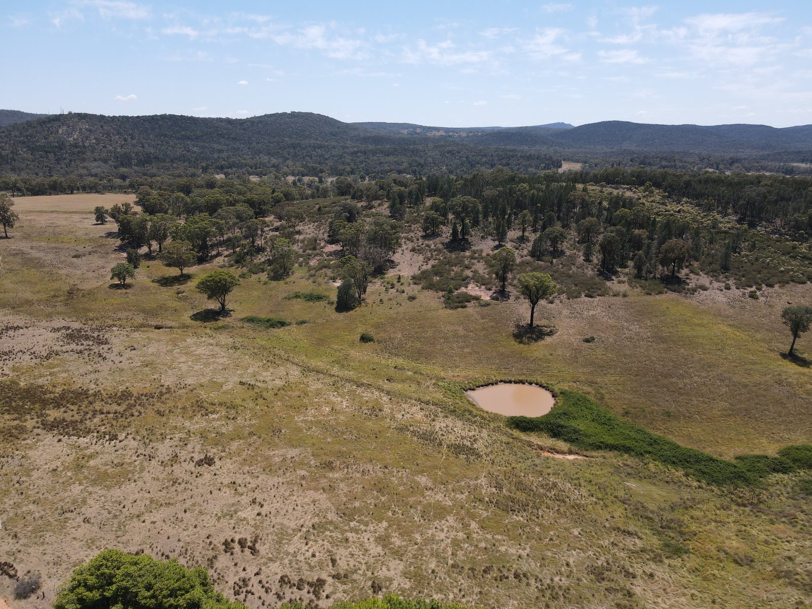 93 Wanera Lane COOKAMIDGERA 11