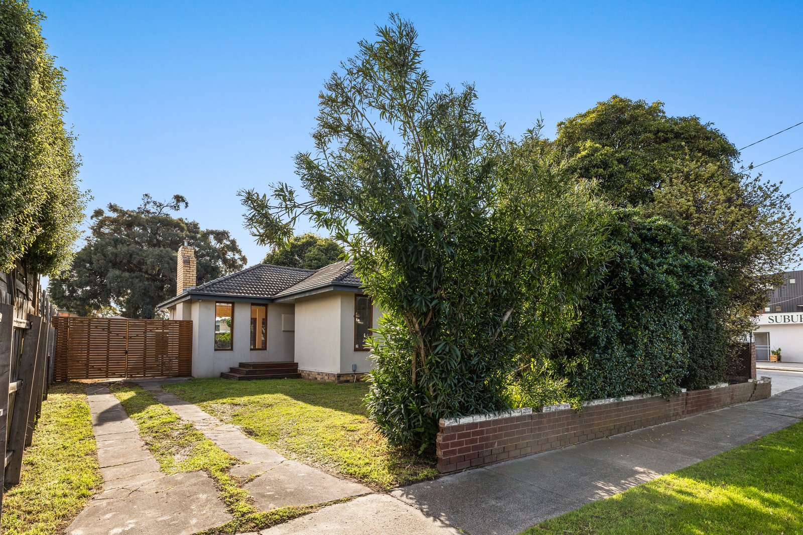 Gallery: 93 White Street