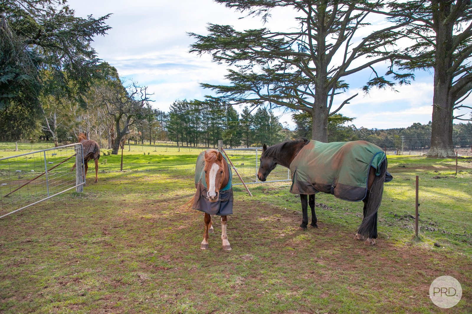 9301 Western Highway WARRENHEIP 22