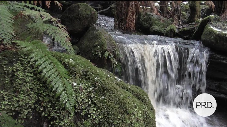 933 Back River Road MAGRA 6