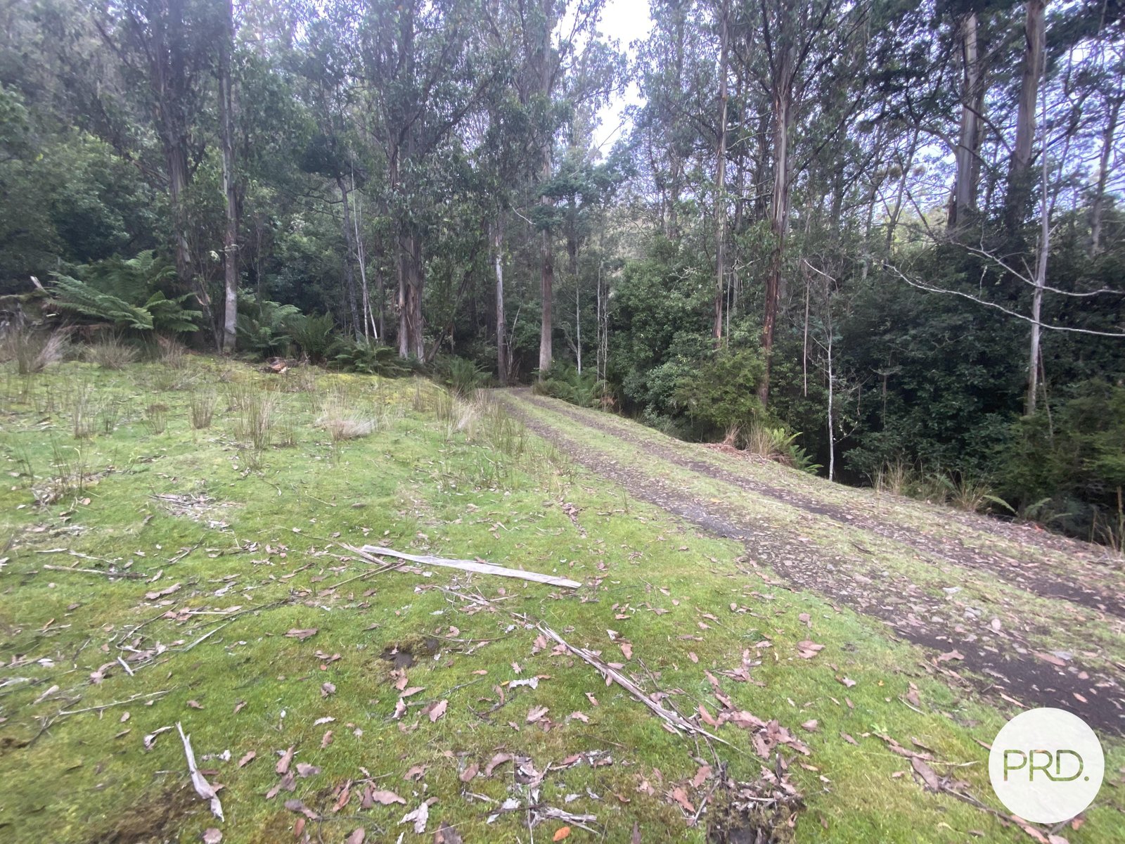 933 Back River Road MAGRA 14