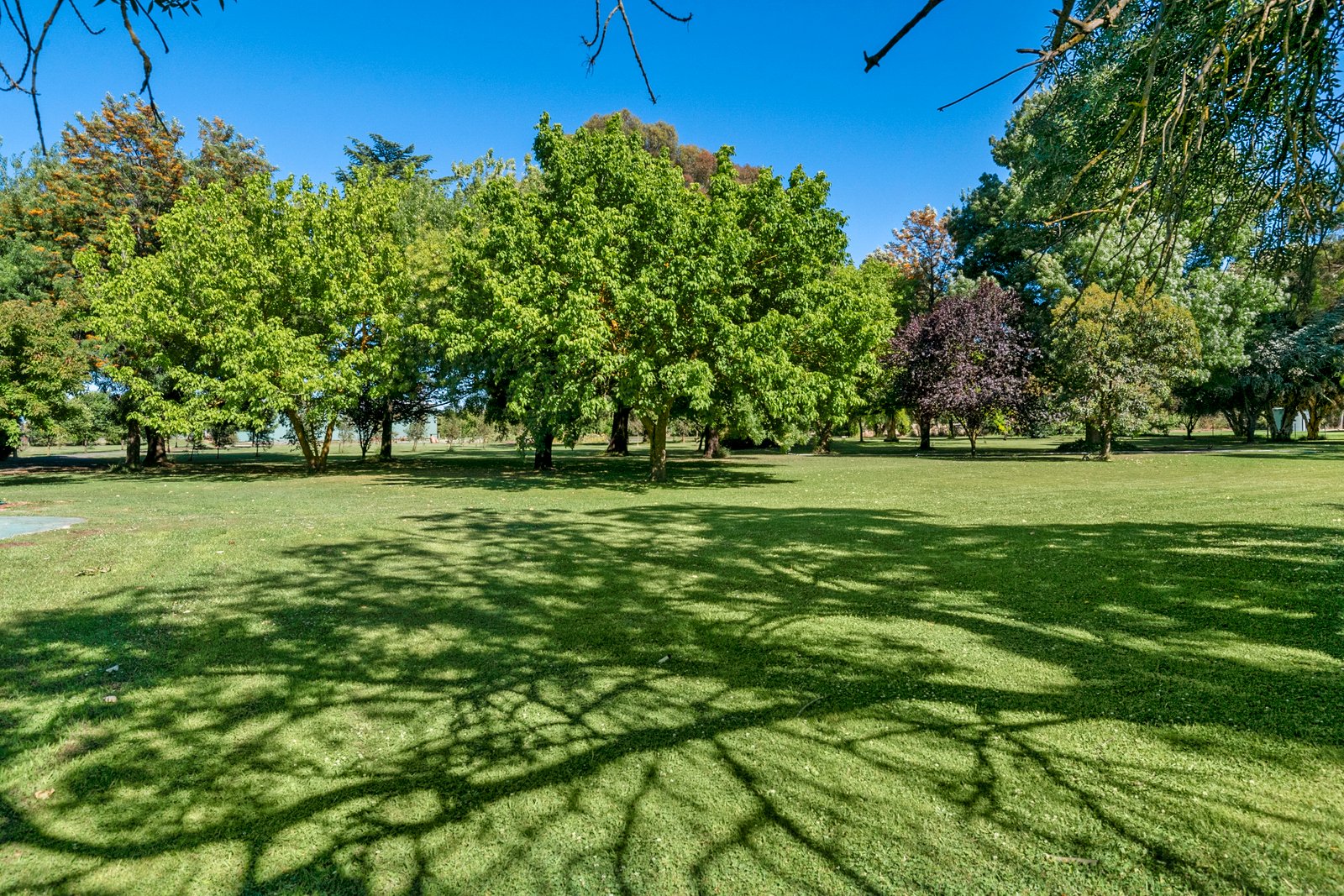 939 Ryan Road KYABRAM 9