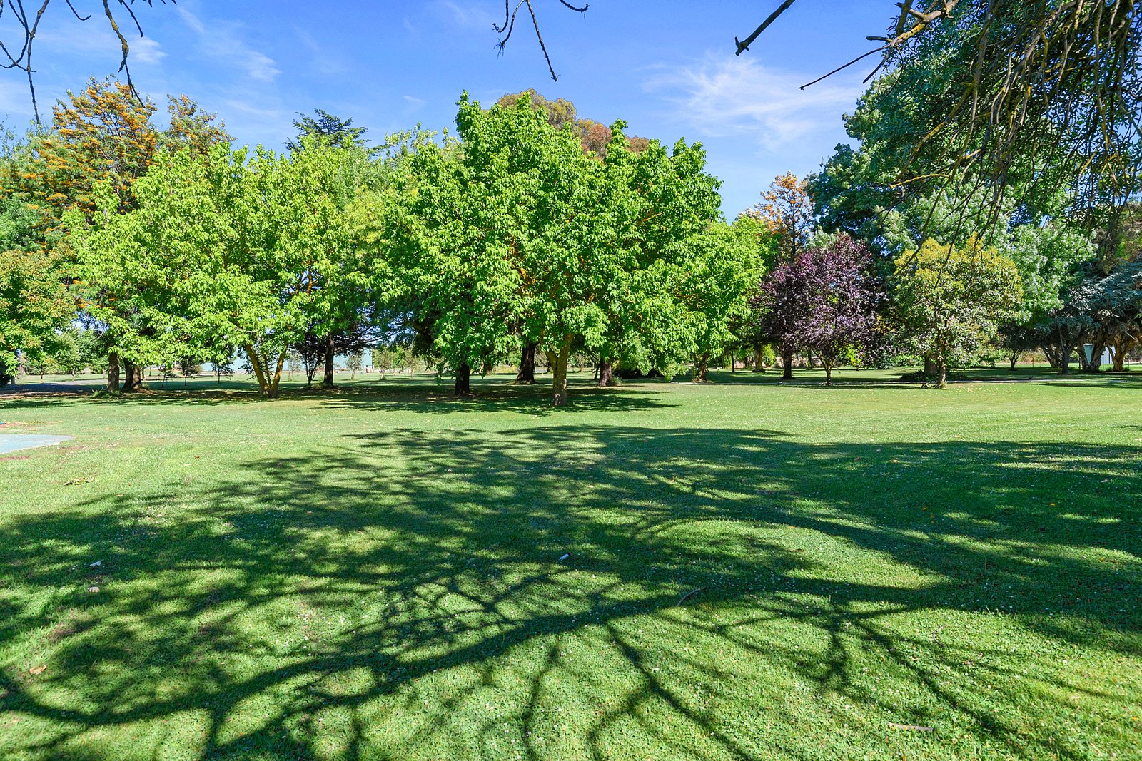 939 Ryan Road KYABRAM 19