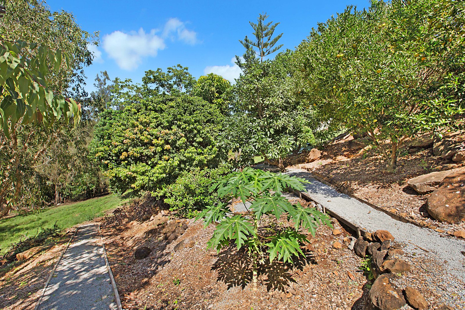 94 Ash Drive BANORA POINT 15