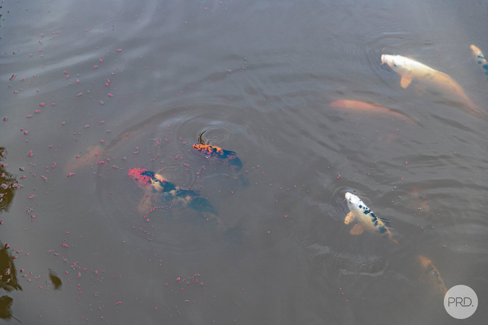 94 Stones Road DEREEL 30