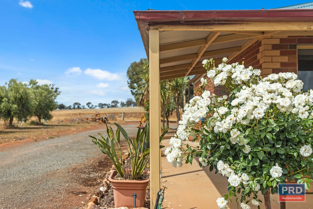 949 Wimmera Highway MARONG 20