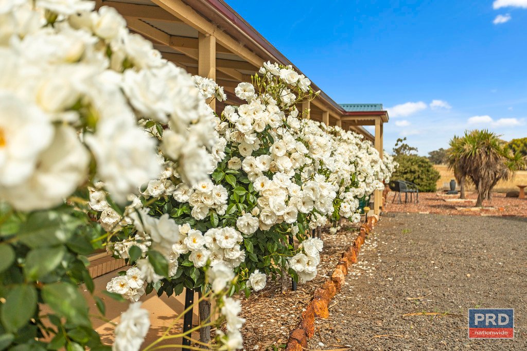 949 Wimmera Highway MARONG 21