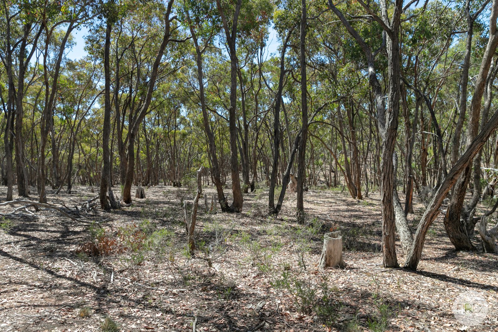 95 Browns Road EVANSFORD 25