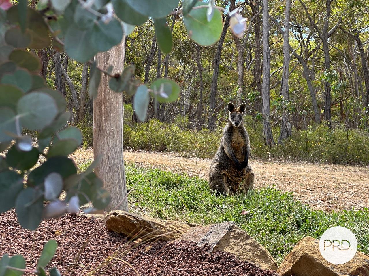 95 Browns Road EVANSFORD 26