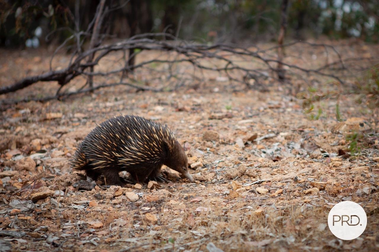 95 Browns Road EVANSFORD 27