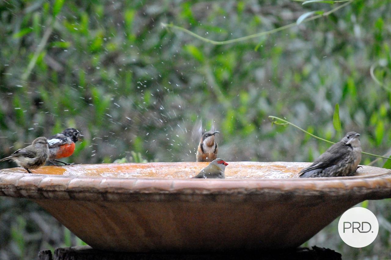 95 Browns Road EVANSFORD 28