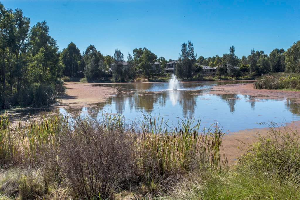 95 Lakeview Drive CRANEBROOK 14