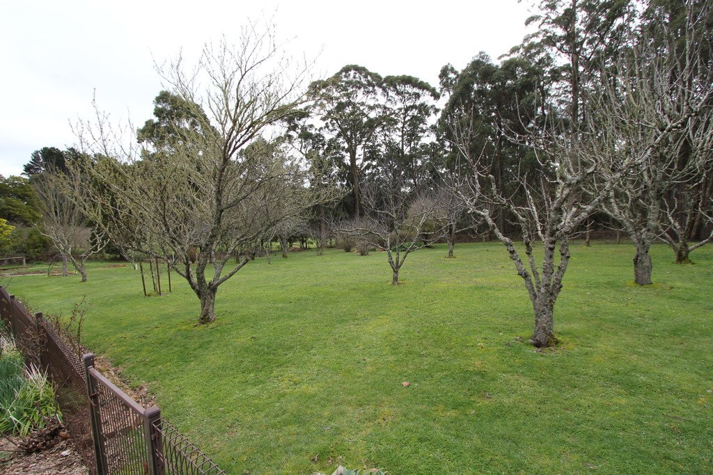 95 McPhans Road MOLLONGGHIP 14