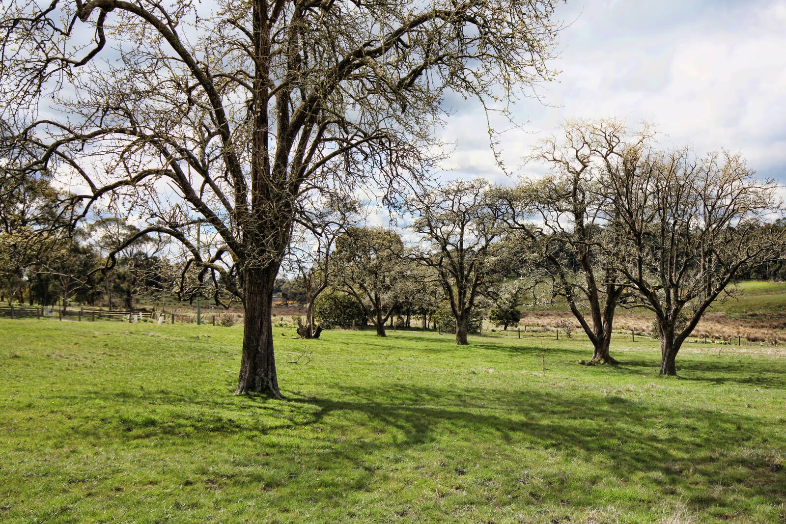 Real Estate and Property in 95 Muntzs Road, Woodend, VIC