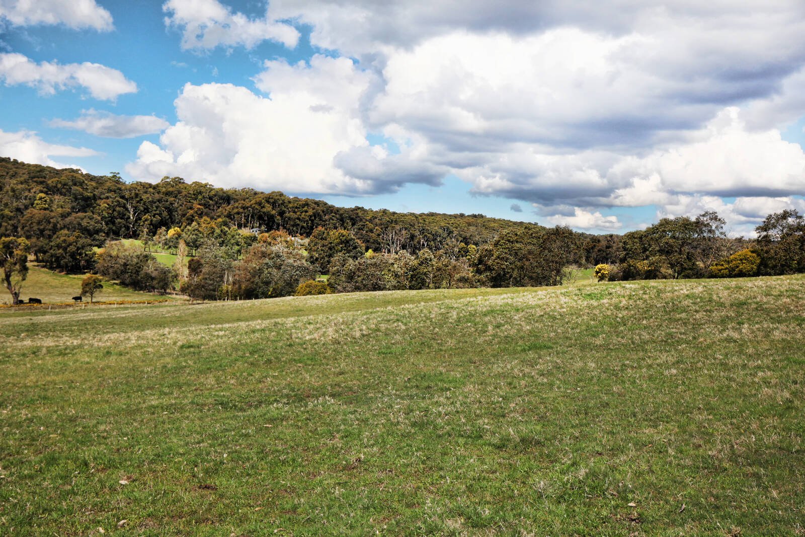 Real Estate and Property in 95 Muntzs Road, Woodend, VIC