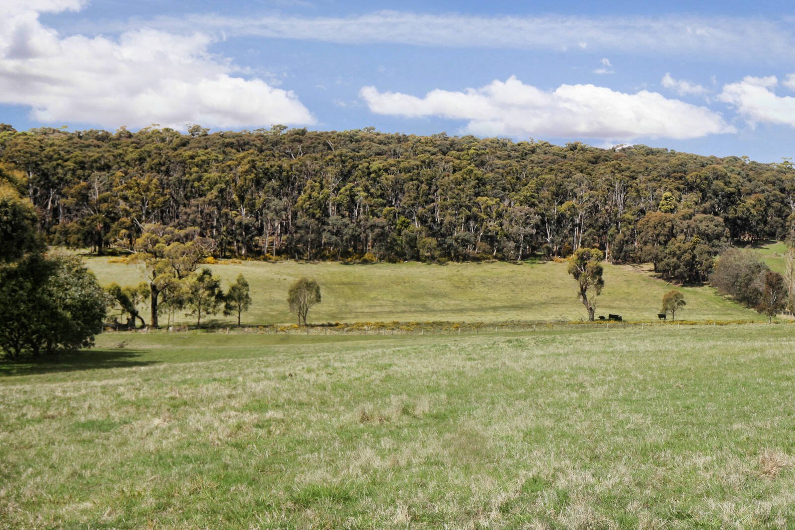 Real Estate and Property in 95 Muntzs Road, Woodend, VIC