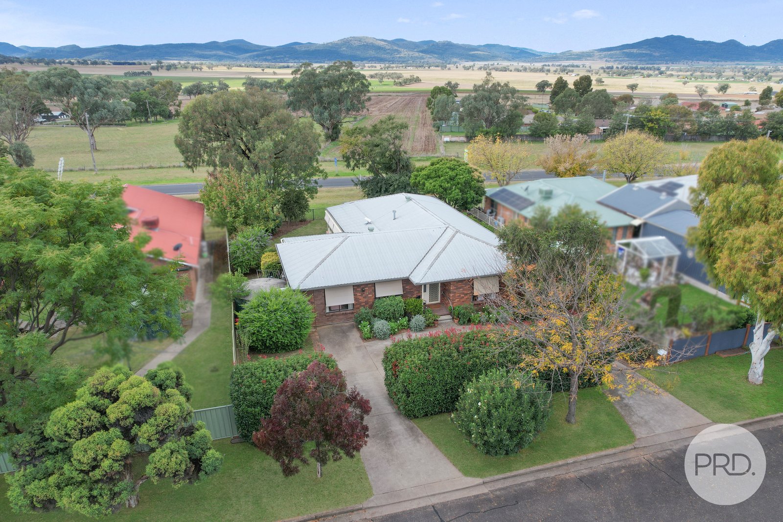 95 Nowland Avenue QUIRINDI 2