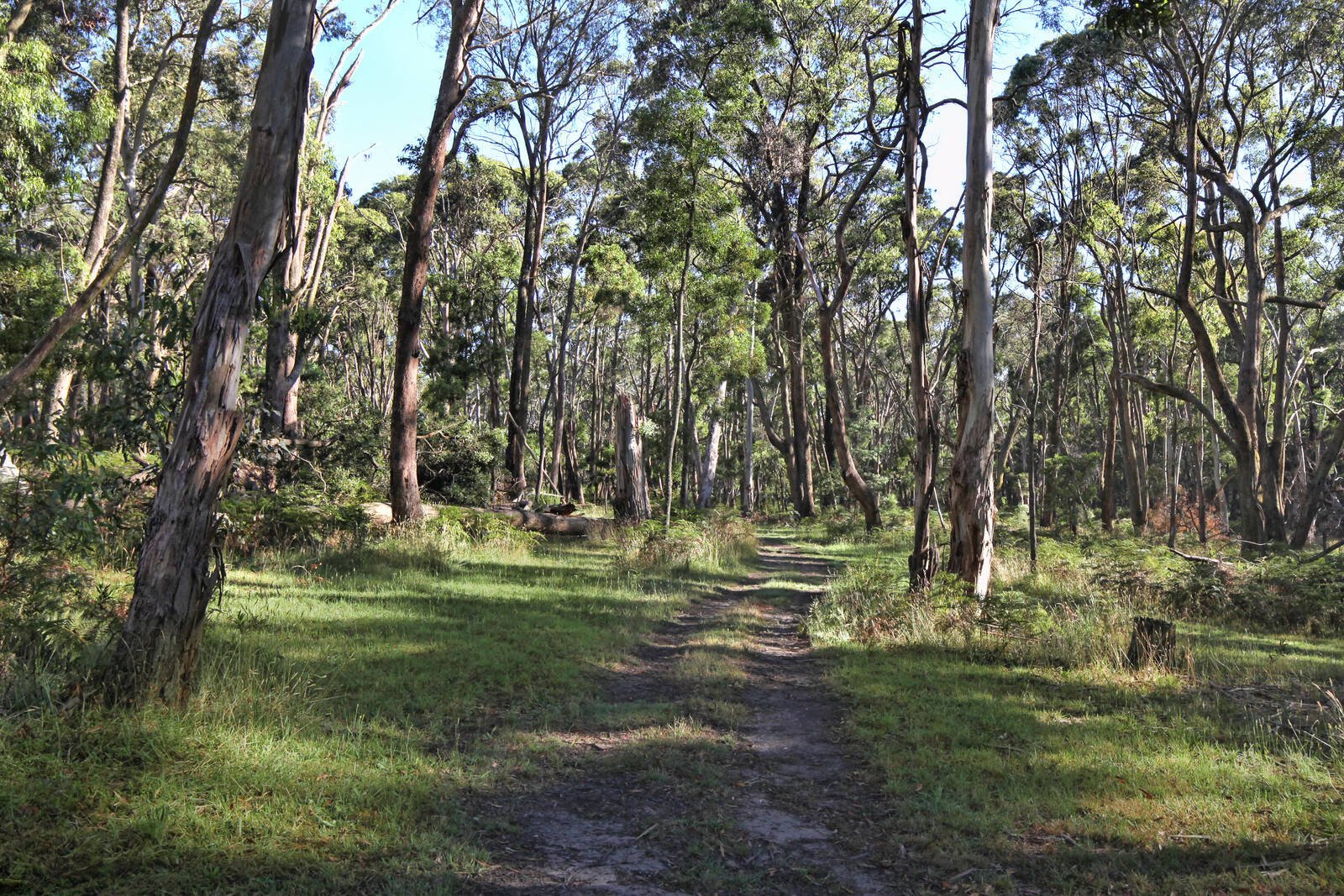 Real Estate and Property in 95 Slatey Creek Road, Woodend, VIC