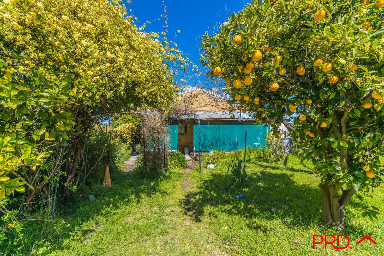 95 Watson Creek-Manilla Road WATSONS CREEK 22