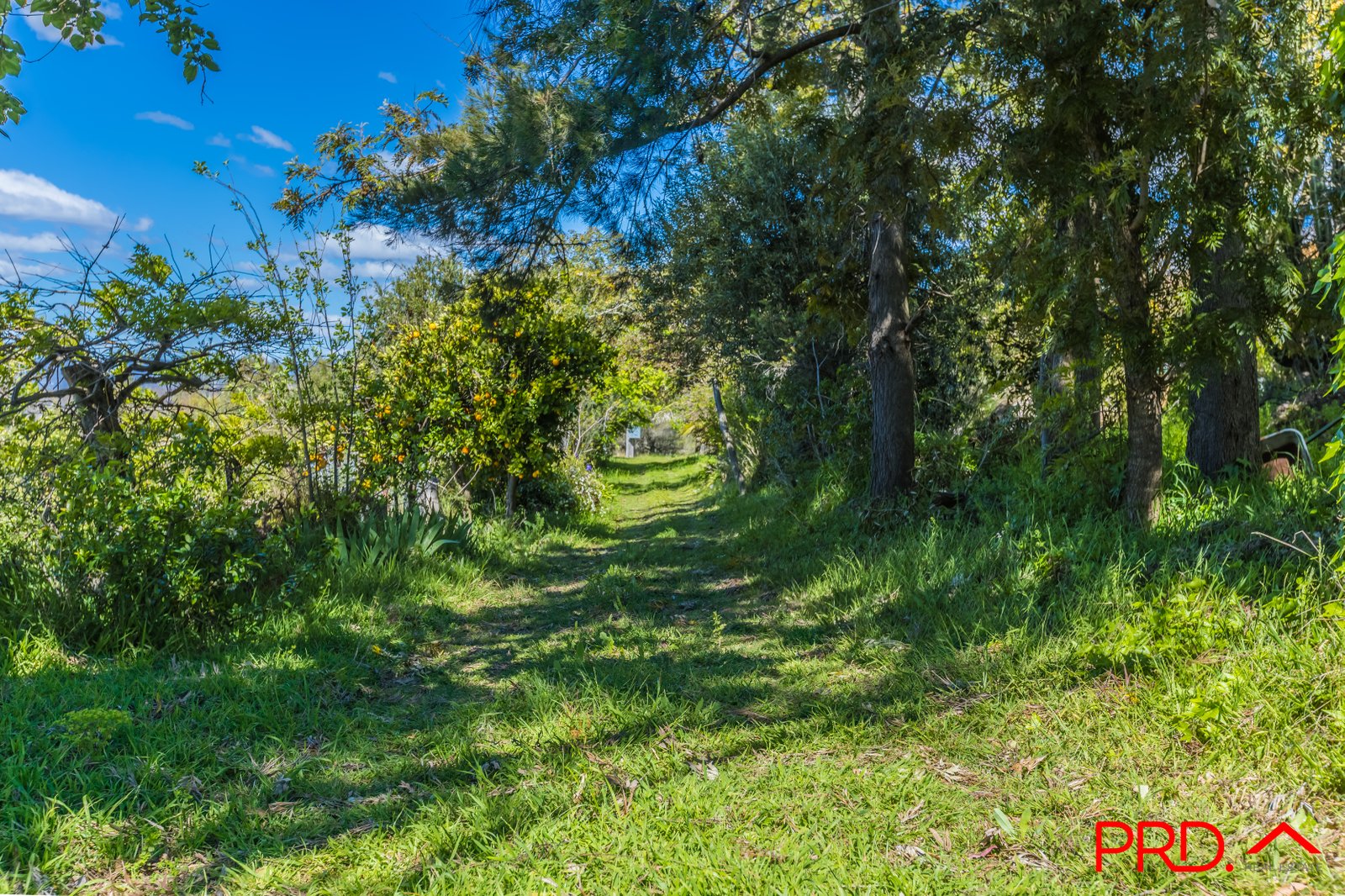 95 Watson Creek-Manilla Road WATSONS CREEK 25