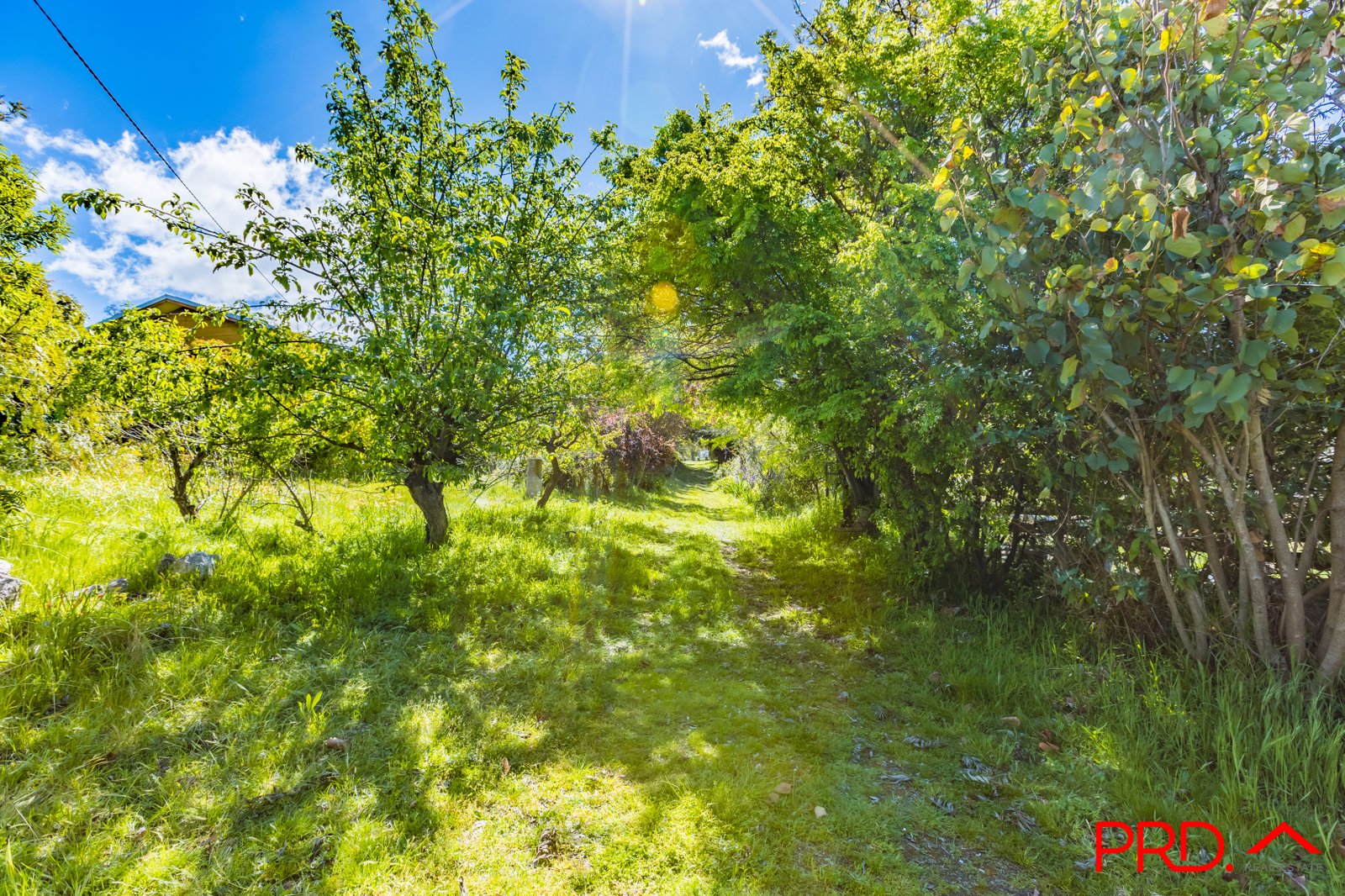 95 Watson Creek-Manilla Road WATSONS CREEK 30