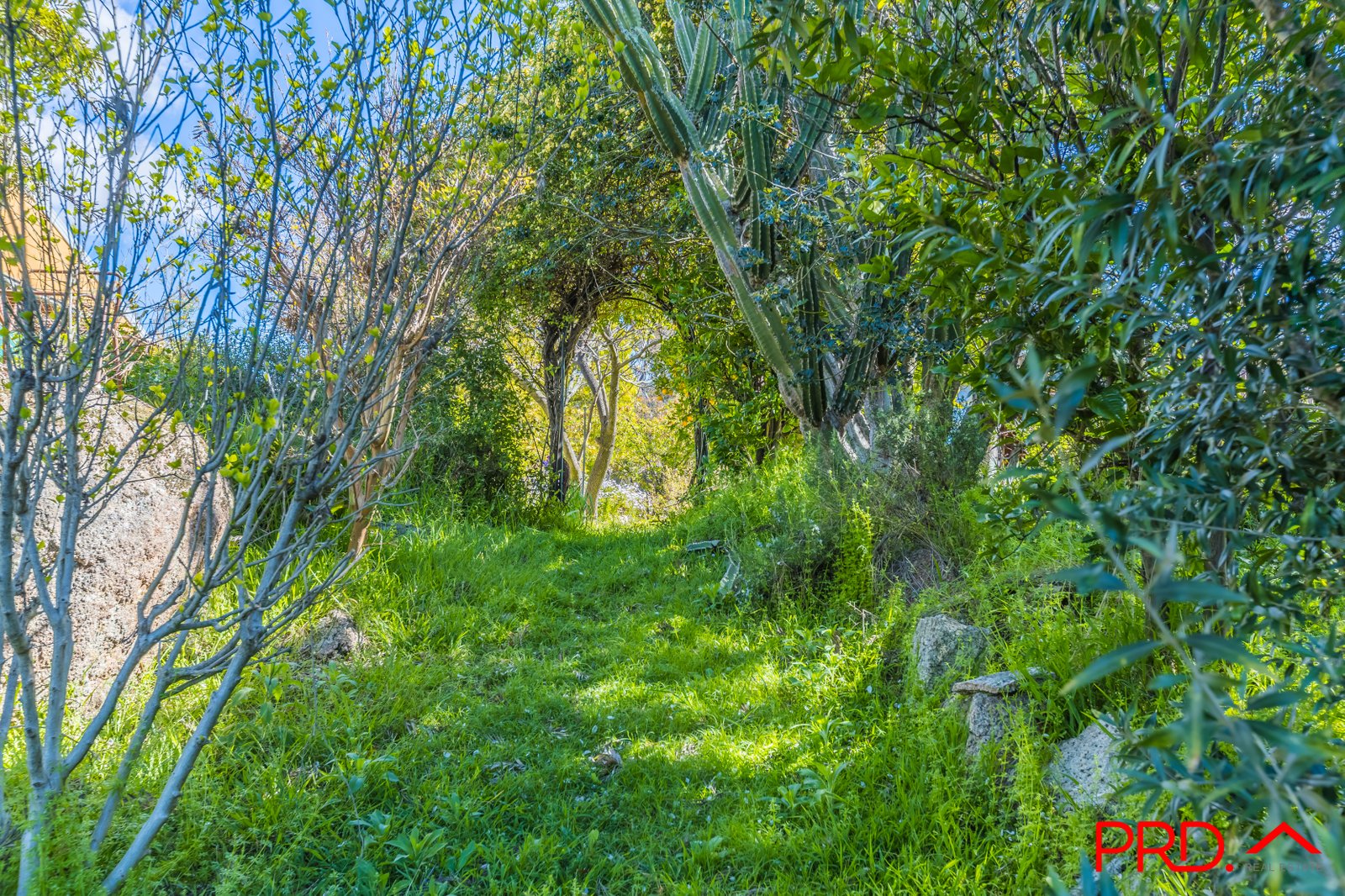 95 Watson Creek-Manilla Road WATSONS CREEK 31