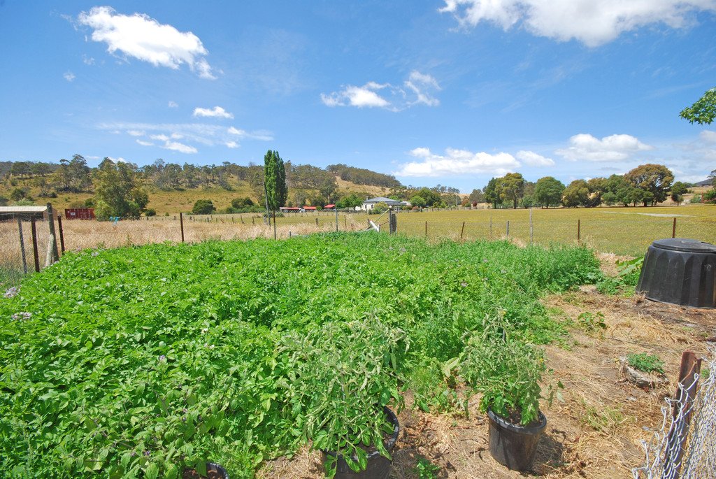 950 Ellendale Road ELLENDALE 11